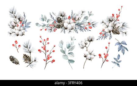 Un ensemble d'aquarelles florales hivernales. Illustrations dessinées à la main de coton d'eucalyptus, pin, genévrier Banque D'Images