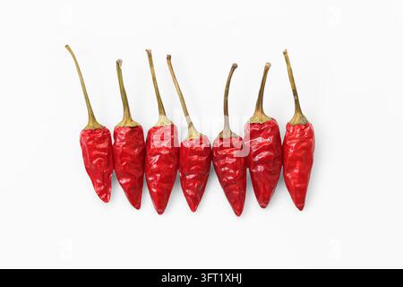 Sept piments rouges séchés disposés en rangée avec de longues tiges sur fond blanc. Composition de nourriture épicée pour assaisonnement chaud, cuisine et culinaire. Banque D'Images