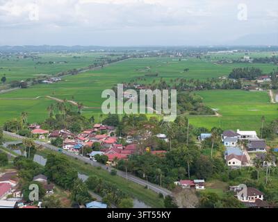 Des rizières vibrantes s'étendent jusqu'aux collines lointaines. Des maisons colorées parsèment le paysage de verdure à Penaga, Penang Banque D'Images