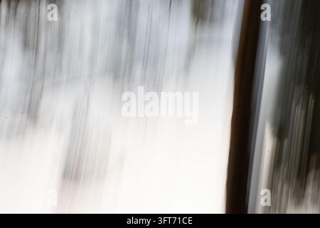 gros plan flou par le mouvement d'une clôture en bois blanc usée, avec des planches verticales, des interstices brun foncé, une grain subtil, des tons gris atténués et un a doux Banque D'Images