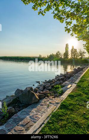 Eau calme le long de la rive rocheuse du lac Balaton en Hongrie, avec des roseaux verts, du trèfle blanc en fleurs et des arbres illuminés par le soleil chaud du soir Banque D'Images
