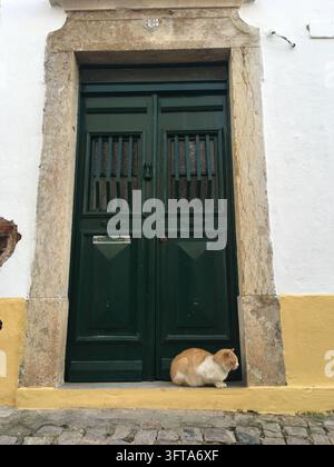 Porte en bois vert avec barres verticales encadrée dans un cadre en pierre à Faro, Portugal. La porte est intégrée dans un mur en stuc blanc avec une base peinte en jaune. Je Banque D'Images