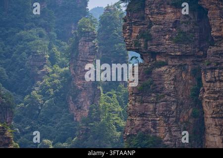 Pin parasol sur l'un des piliers de grès, vue panoramique des colonnes de grès quartzique des montagnes Tianzi dans le parc national de Zhangjiajie, A Banque D'Images