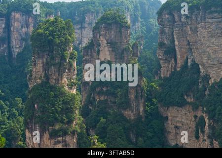 Vue panoramique des piliers de grès quartzique des montagnes Tianzi dans le parc national de Zhangjiajie, montagnes Avatar, montagnes Halleluja, Wulingyu Banque D'Images