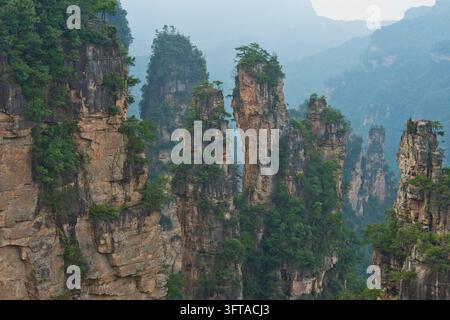 Vue panoramique des piliers de grès quartzique des montagnes Tianzi dans le parc national de Zhangjiajie, montagnes Avatar, montagnes Halleluja, Wulingyu Banque D'Images