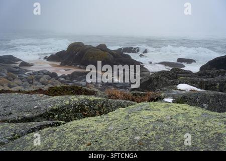 MER GLACÉE ET CÔTE BRUMEUSE, ÎLE FINNOISE ÉLOIGNÉE EN HIVER PROFOND, UTÖ, FINLANDE : D’un point de vue élevé couvert de rochers tachetés de lichen, une vaste vue montre une mer agitée remplie de grandes plaques de glace sous une épaisse couverture de brouillard. INFO : Utö est une île finlandaise éloignée dans la mer des archipels, au sud de Turku. Connue pour son phare historique, ses paysages côtiers accidentés et son héritage maritime, elle est la plus méridionale des îles habitées de Finlande, attirant les visiteurs en quête de tranquillité, d’observation des oiseaux et de paysages spectaculaires de la mer Baltique. Banque D'Images