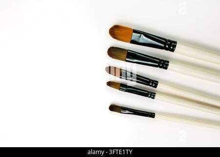 Un ensemble de pinceaux de différentes tailles et formes sur un fond blanc, vue de dessus. Banque D'Images