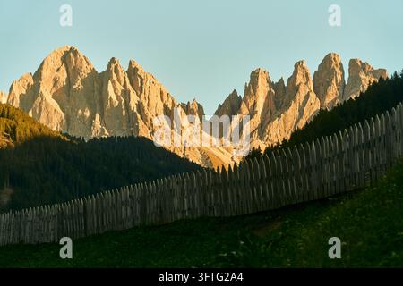 Sommetes dentelées des Dolomites baignées de soleil se dressant derrière une forêt de conifères et une clôture en bois délavée à l'heure dorée, scène de paysage alpin tranquille avec une lumière chaude Banque D'Images