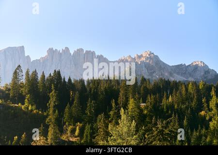 Forêt immer verte baignée de soleil avec des pics de calcaire escarpés des Dolomites sous un ciel bleu clair à la lumière du tardif après-midi, vue panoramique du paysage alpin depuis Banque D'Images