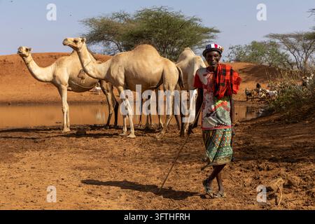 Homme âgé de la tribu Samburu avec une canne et un chapeau orné d'un drapeau américain devant des chameaux, comté de Samburu, Samburu, Kenya Banque D'Images