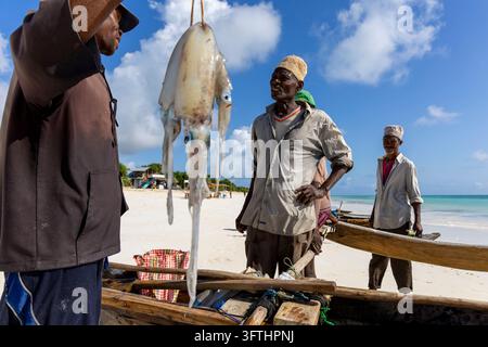 Pêcheur tenant une seiche fraîchement pêchée sur une plage à côté de bateaux en bois tandis que deux hommes âgés coiffés de kofias regardent, Matemwe, Tanzanie Banque D'Images