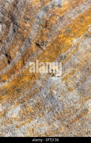 Gros plan d'une surface de roche grésoise érodée couverte de motifs de lichens orange et gris, Ihorombe, Isalo, Madagascar Banque D'Images