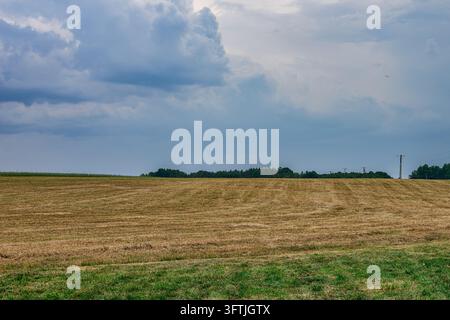Un champ récolté s'étend à travers la campagne sous les nuages, avec une ligne d'arbres et un poteau électrique à l'horizon en journée. Banque D'Images