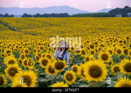 Femme à chapeau de paille touchant son chapeau et regardant vers le haut dans un champ de tournesols au crépuscule avec des montagnes bleues, Nghia Dan, Nghe An, Vietnam Banque D'Images