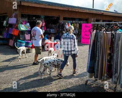 Couple promenant plusieurs chiens dalmatiens sur un marché en plein air Banque D'Images