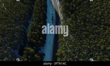 Une vue en contre-plongée montre un chemin pavé sinueux traversant une forêt de conifères enneigée, avec la lumière hivernale et de longues ombres sur le calme Banque D'Images