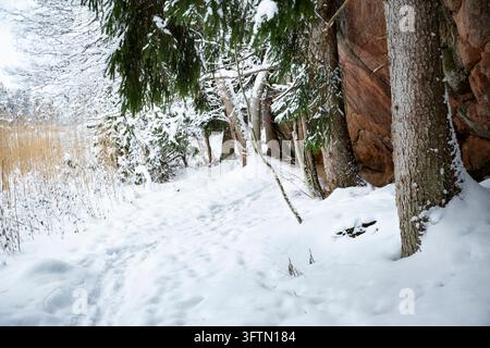 Un sentier forestier enneigé passe devant une paroi rocheuse en granit rouge dans une forêt finlandaise en hiver, avec des branches de pin sur un chemin enneigé immaculé Banque D'Images