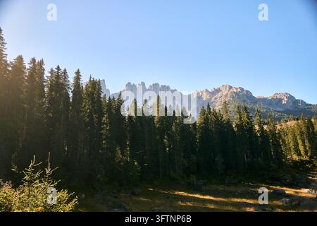 Forêt de conifères baignée de soleil avec des pics escarpés des Dolomites se dressant sous un ciel bleu clair à la lumière du tardif après-midi, longues ombres de prairie et avant-plan rocheux Banque D'Images