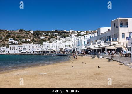 Mykonos, Grèce - 16 juillet 2026 : Le front de mer sablonneux de Mykonos Town s'étend le long de la mer Égée, encadré par des bâtiments cycladiques blanchis à la chaux, bord de mer Banque D'Images