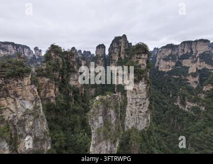 Vue aérienne des imposants piliers de grès karstiques du parc national forestier de Zhangjiajie, recouverts d'une végétation luxuriante sous un ciel nuageux, Guilin Banque D'Images