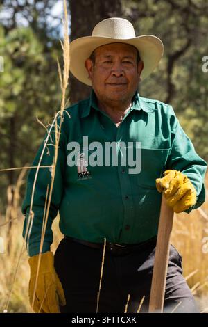 Mexique – 25 janvier 2025 : Vue d'un homme d'âge moyen portant un chapeau de cowboy et une chemise verte avec des gants de travail jaunes, tenant un outil en bois dans une forêt Banque D'Images