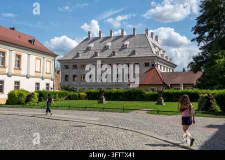 Bibliothèque de l'archidiocèse sur l'île du Dôme, Wrocław (Wroclaw), Basse-Silésie, Pologne Banque D'Images