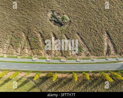 Vue aérienne, vue de dessus depuis le Mooser Damm, une route de liaison entre Radolfzell sur le lac de Constance et la commune de Moos sur la péninsule de Höri Banque D'Images