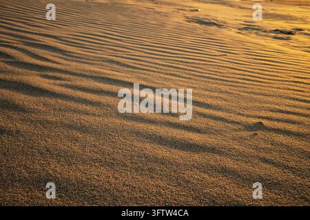 Des ondulations de vent dans le sable sous la lumière dorée du soir Banque D'Images