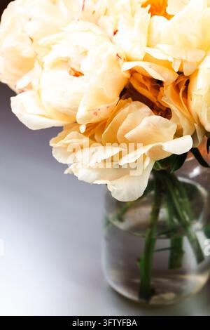 Bouquet de pivoines crème dans un vase en verre, lumière douce Banque D'Images