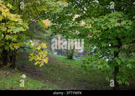Un feuillage automnal vert et jaune encadre une voie d'eau paisible reflétant les arbres environnants dans le parc Stromovka. Prague, République tchèque – 17 octobre 2026. Banque D'Images