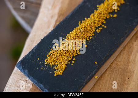 Granules de pollen d'abeille doré disposées sur une planche d'ardoise sombre, complément alimentaire superaliment naturel riche en nutriments. Banque D'Images