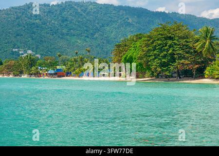 Côte tropicale avec mer turquoise, plage de sable, palmiers à coco, montagnes tropicales boisées à Lamai Beach, Koh Samui, Thaïlande. Île asiatique Banque D'Images