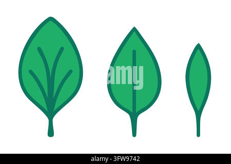 Ensemble d'icônes de feuilles vertes pour la conception de logos éco-organiques. Éléments de clipart vectoriels de feuillage végétal isolés Illustration de Vecteur