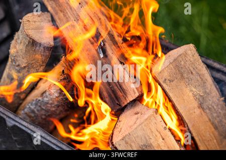 Une prise de vue en gros plan montre des flammes orange énergiques s'élevant à travers le bois de chauffage fendu dans un barbecue en métal, capturant la chaleur brute et la texture du bois carbonisé Banque D'Images