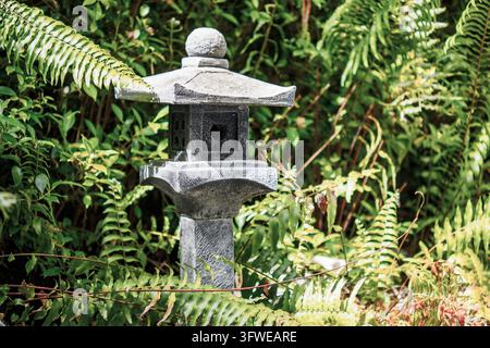 Décoration de lanterne en pierre classique entourée de fougères vertes denses et de feuillage naturel créant une atmosphère paisible de jardin japonais en plein air Banque D'Images