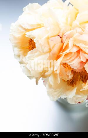 Bouquet de pivoines dans un vase avec espace libre, vertical Banque D'Images