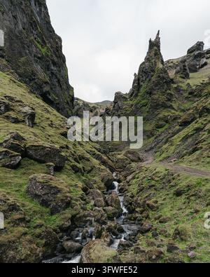 Vue du canyon rocheux dramatique au campement de Thakgil avec un petit ruisseau coulant sur des rochers couverts de mousse sous un ciel nuageux à Vik, Myrdalshrep Banque D'Images