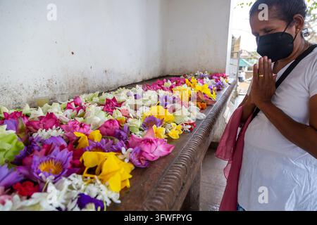 Femme portant un masque facial priant à côté d'un long autel couvert de fleurs à Ruwanwelisaya, Province du Centre-Nord, Anuradhapura, Sri Lanka Banque D'Images