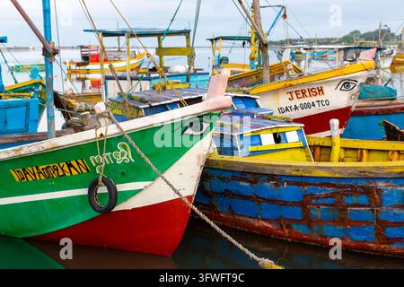 Bateaux de pêche en bois colorés amarrés ensemble dans un port, Province du Nord, Jaffna, Sri Lanka Banque D'Images