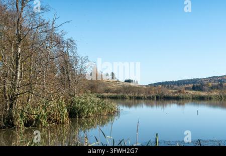 Paysage d'automne en Norvège avec des arbres et des roseaux le long d'un étang tranquille, reflétant le ciel bleu et la campagne environnante. Banque D'Images