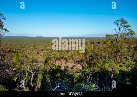 Parc national volcanique d’Undara dans le Far North Queensland – Australie Banque D'Images
