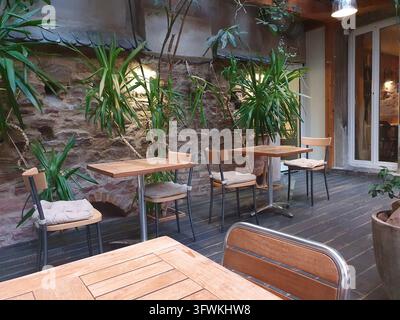Une terrasse de café intérieure douillette avec des tables en bois, des chaises rembourrées et des plantes vertes luxuriantes contre un mur de pierre rustique. Un éclairage doux et une ambiance chaleureuse et relaxante Banque D'Images