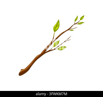 Branche d'arbre avec des feuilles, plante, rameau avec une feuille verte Illustration de Vecteur