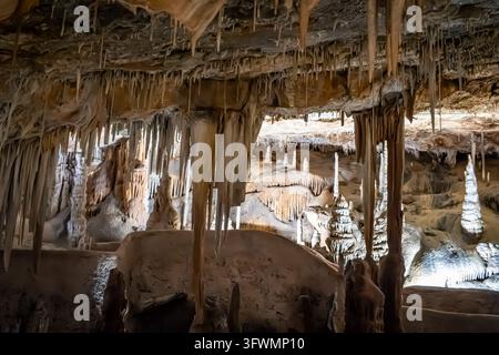 Une vue intérieure des Coves del Drac (Grottes du Dragon) à Majorque, en Espagne, présentant de nombreuses stalactites suspendues au plafond et des stalagmites qui s'élèvent Banque D'Images