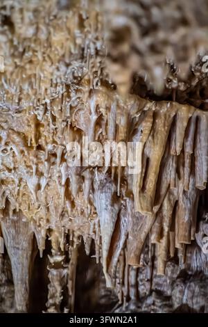 Une photographie en gros plan détaillée met en valeur les textures et motifs complexes des stalactites et stalagmites naturelles dans une grotte de Majorque, en Espagne. Banque D'Images