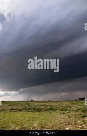 Vue d'un nuage d'orage sombre et menaçant planant sur un vaste paysage herbeux plat avec des arbres lointains sous un ciel dramatique Banque D'Images