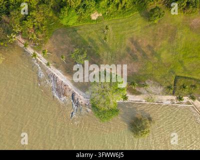 Vue aérienne montrant les terres côtières rencontrant des eaux calmes. Herbe verte, arbres Banque D'Images