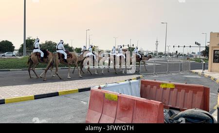 Wakrah, Qatar – Hommes en tenue blanche traditionnelle montant des chameaux au coucher du soleil près de Souq Al Wakra, Qatar. Banque D'Images