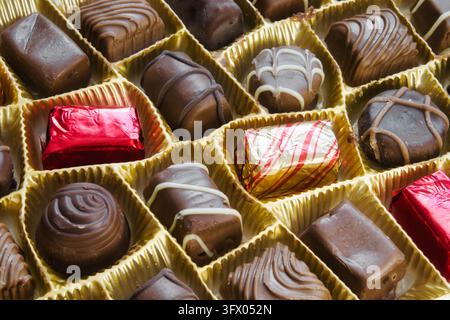 Plan rapproché d'une boîte de chocolats au lait Banque D'Images