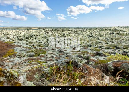 Champ de lave d’Eldhraun couvert de mousse dans le sud de l’Islande Banque D'Images